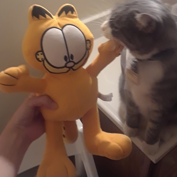 odie plush toy